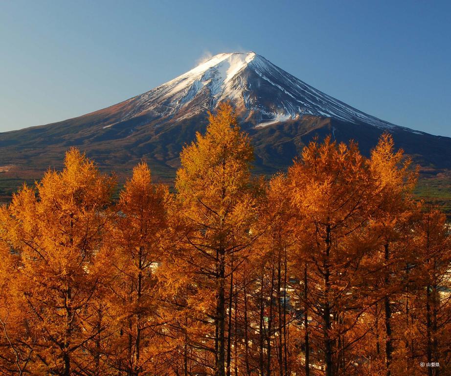 Pension Mozart Yamanakako Bagian luar foto
