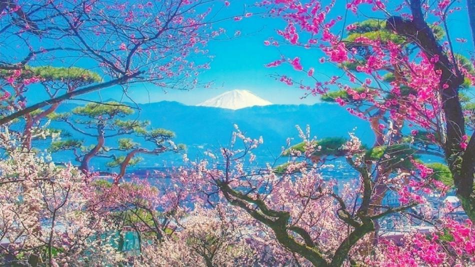 Pension Mozart Yamanakako Bagian luar foto